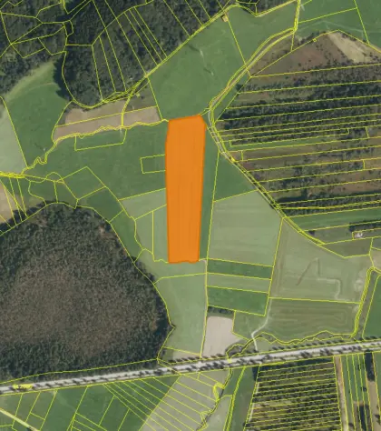 2,5 ha Grünland, Allgäu, Gemarkung Rauhenzell, Flurstück 332/0