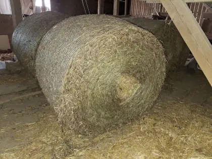 Heuballen