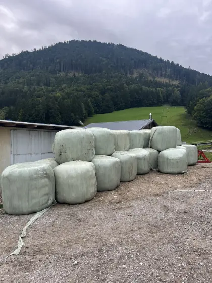 Suche Siloballen