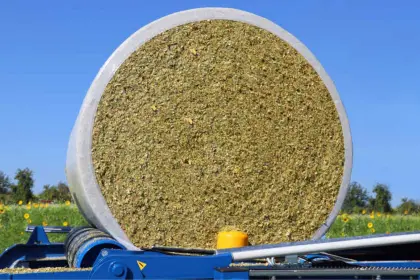 Maissilageballen