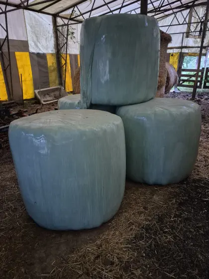 Siloballen 4 Stk.