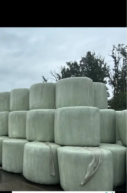 Silage-Rundballen, Siloballen 2025/2026