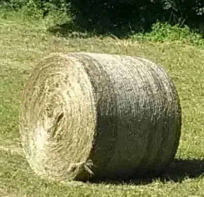 Heu