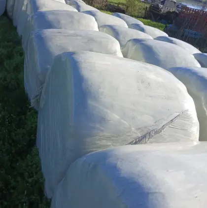 Suche Silageballen
