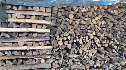 Brennholz Mischholz (Eiche, Esche, Linde und Diverses)