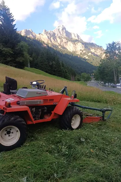 Reform 2002 Mähtrac mit Doppelmessermähwerk, Heckhydr.