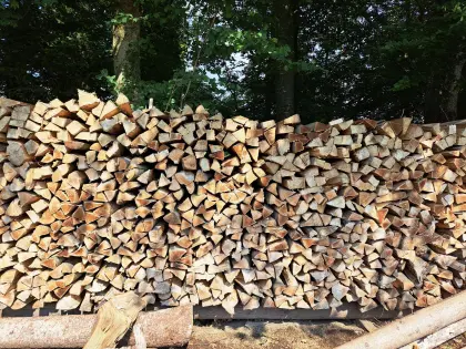 Buchen-Brennholz
