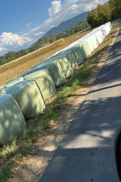 Maisrundballen ab Feld