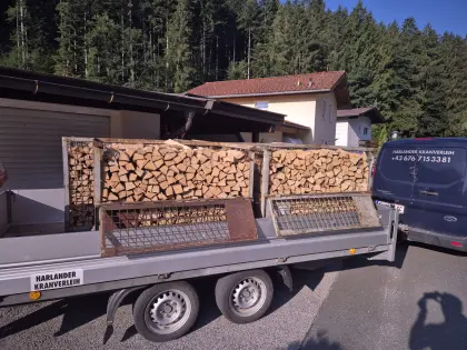 Brennholz trocken und ofenfertig mit Zustellung