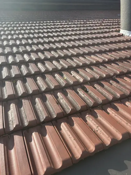 Dachziegel Bogen Maxifalzziegel