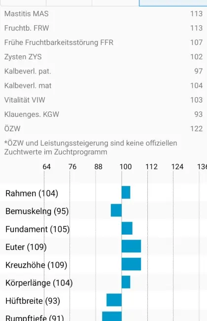 FV-Zuchtstier