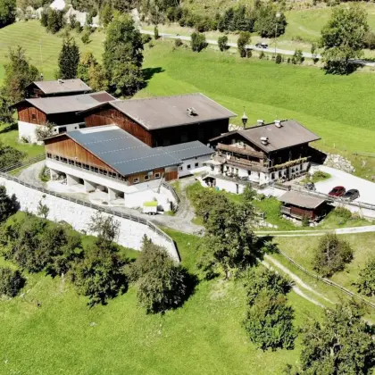 Praktikant für Mai bis September 2027