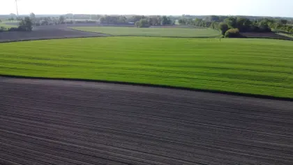 Pachtgrund