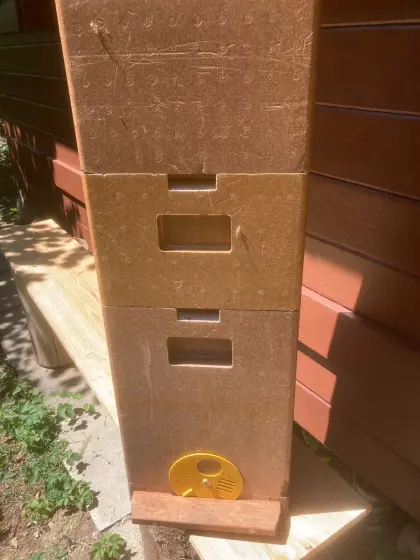 Bienenkisten APIBOX CH-5