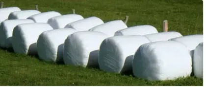 Silageballen