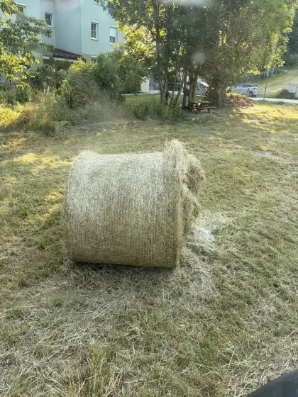 Bieten Heu aus Grünlandbrache
