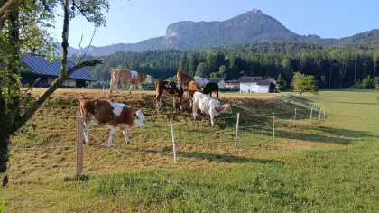 Einsteller und Fresser