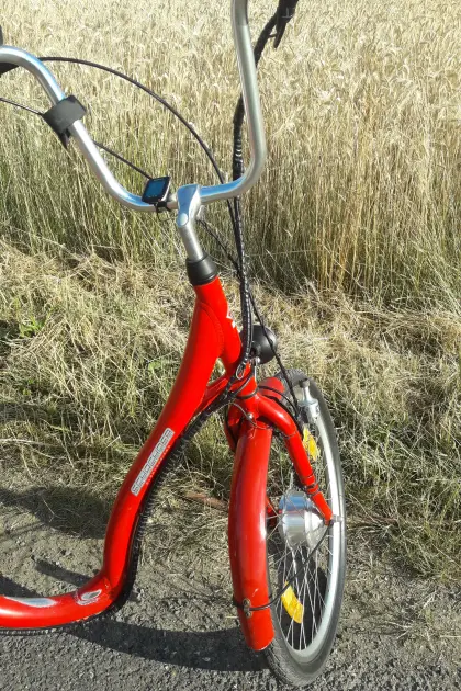 Dreirad, Schachner Elektro-Lastenrad