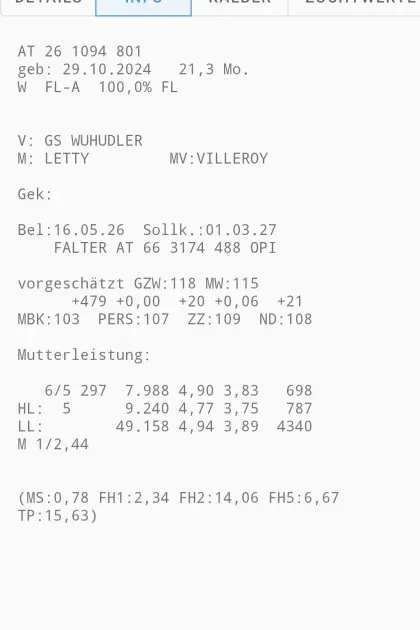 Verkaufe trächtige BIO Kalbinnen
