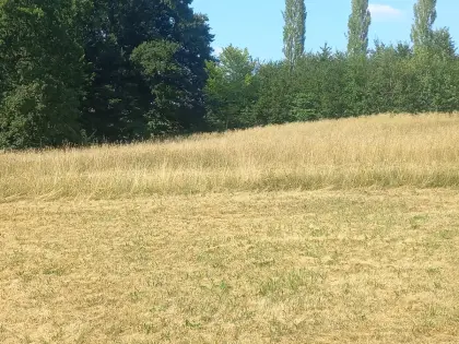Wiesengras bzw. Heu zum Selbermähen in 8081 Heiligenkreuz/W