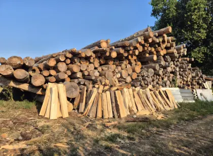 Brennholz Fichte
