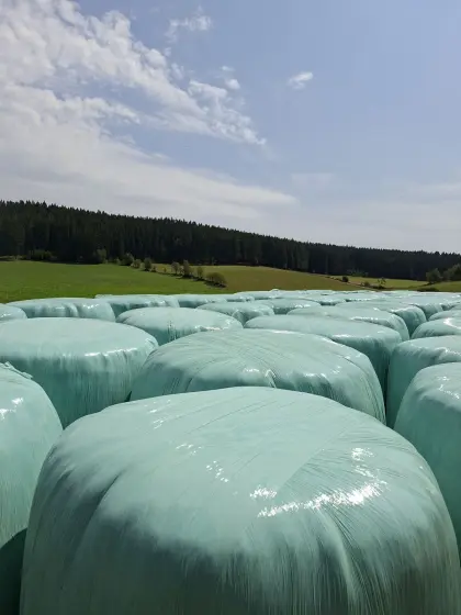 Suche Siloballen (konventionell)
