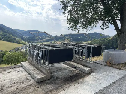 Felder Kälberaufstallung