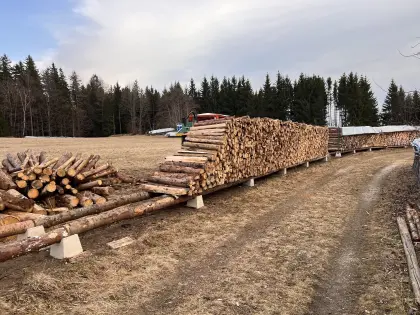 Brennholz, Scheitholz, ofenfertig