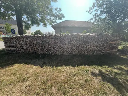Brennholz Buche in beliebigen Längen ohne Zustellung