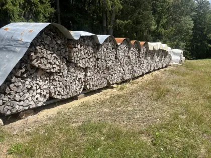 Brennholz Buche