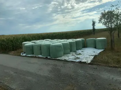 Maissilage