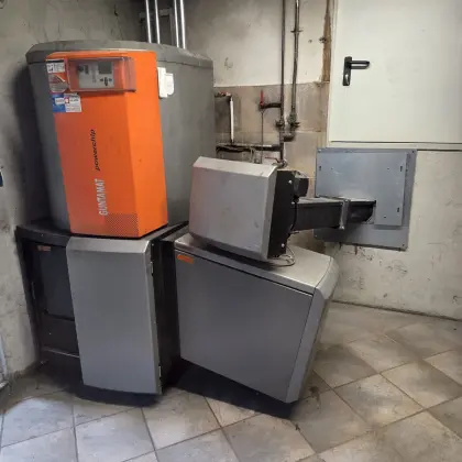Heizung Guntamatic Powerchip 40/50