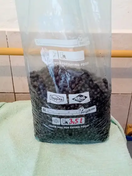 Heidelbeeren vom Wald