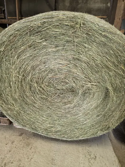 Waldviertler Heu 1. Schnitt