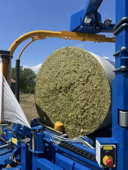 Maisballen vorbestellen