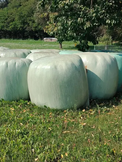 Grassilageballen