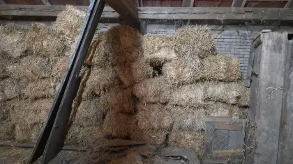 Strohballen