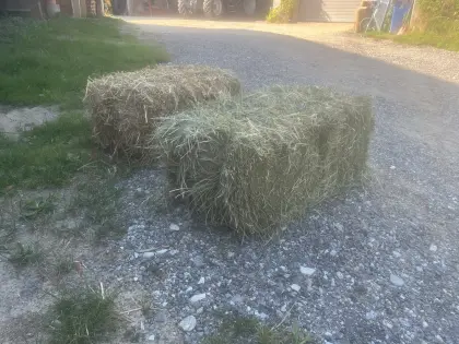 Kleinheuballen