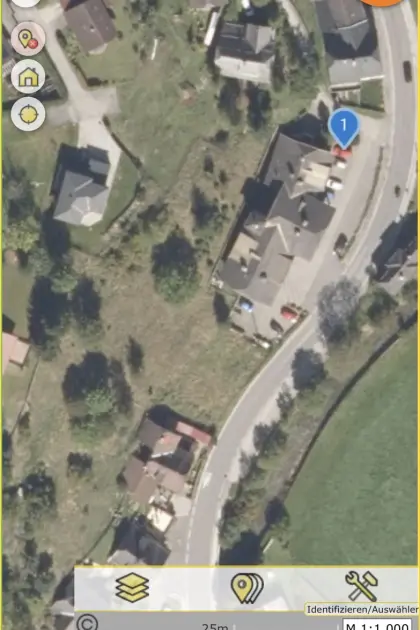 Mähgut, Wiese, Hang zum selber mähen, Ebene Reichenau