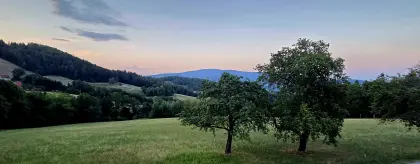 Nutzungsüberlassung ab 2027 von 7 ha Grünland
