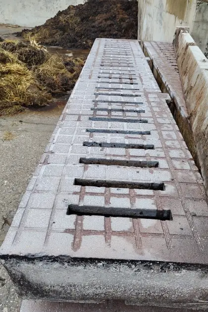 Betonspalten Rinder