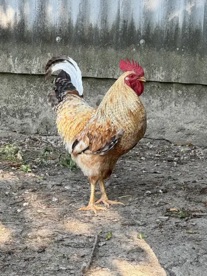 An einen guten Platz