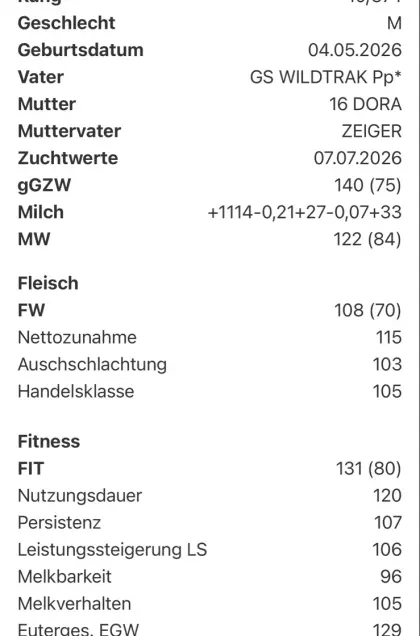 FV-Stierkalb, genom. ZW: 140
