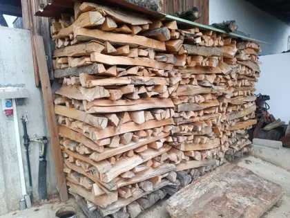 Buchenholz