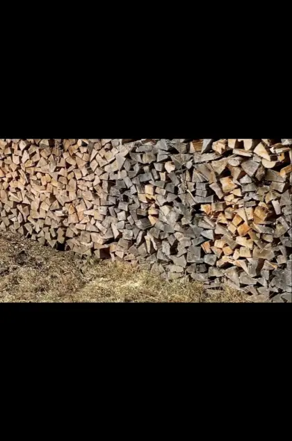Brennholz