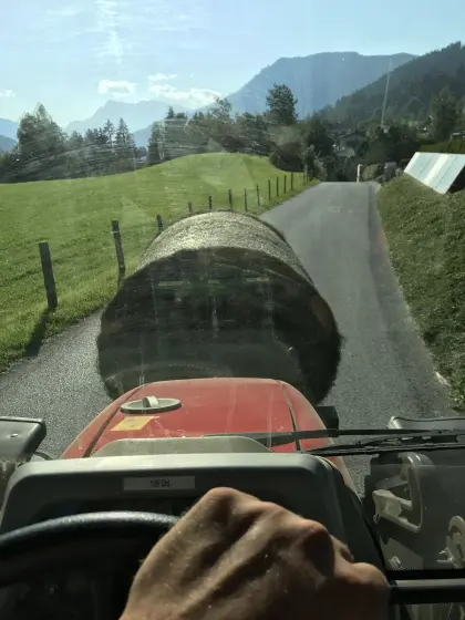 Suche Bio-Heu/Silo