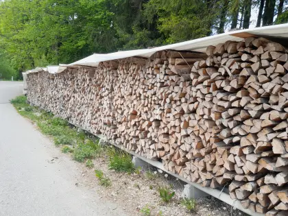 Brennholz Esche