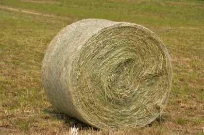 Verkaufe Heuballen