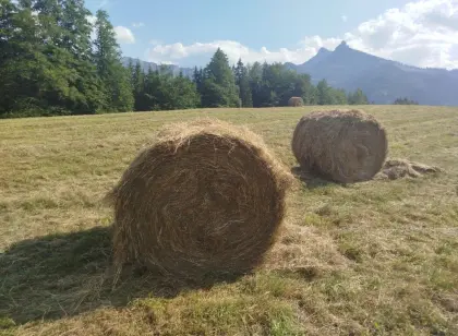 Heuballen