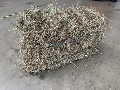 Heuballen, Kleinballen HD